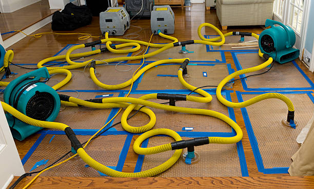 Professional Water Extraction technician working in Hildale, UT